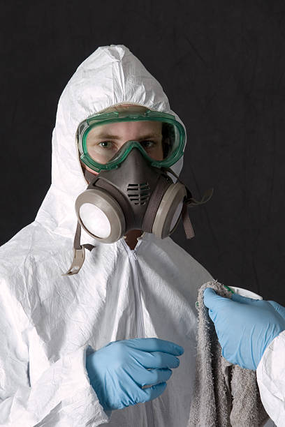 Biohazard Mold Removal in North Amityville, NY